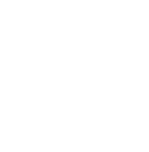 logo blanc footer